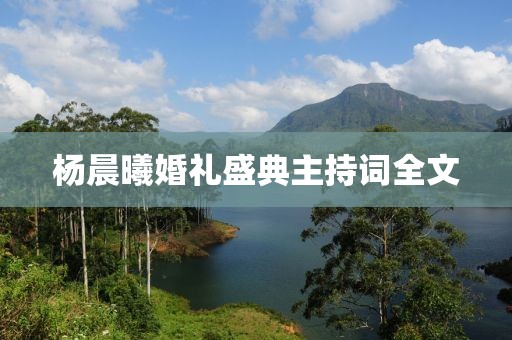 杨晨曦婚礼盛典主持词全文