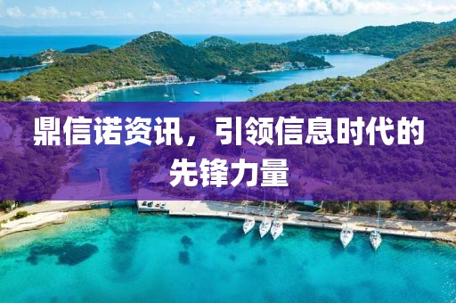鼎信诺资讯，引领信息时代的先锋力量