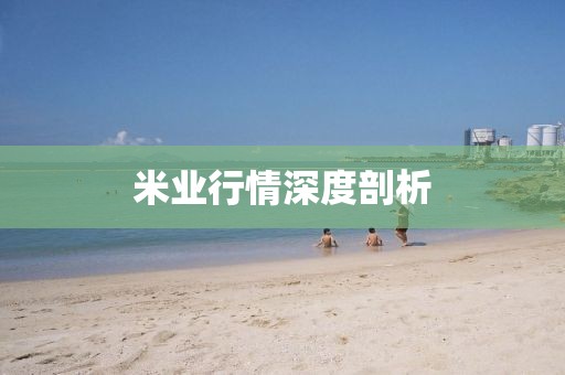 米业行情深度剖析