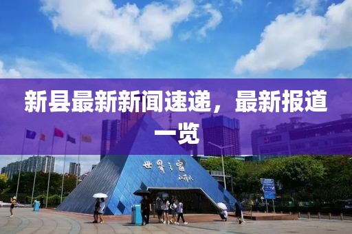 新县最新新闻速递，最新报道一览