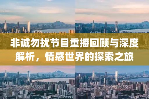 非诚勿扰节目重播回顾与深度解析，情感世界的探索之旅