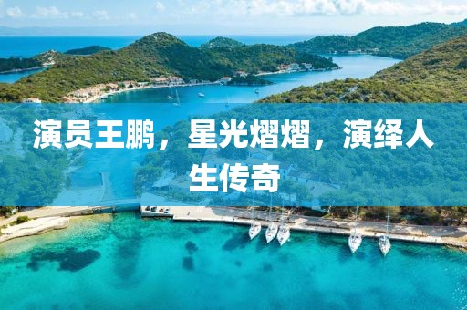 演员王鹏，星光熠熠，演绎人生传奇