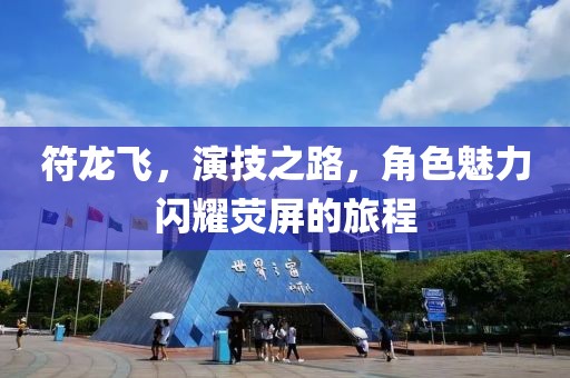 符龙飞，演技之路，角色魅力闪耀荧屏的旅程