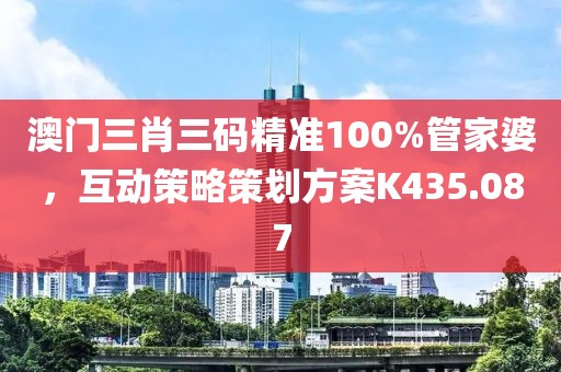 澳门三肖三码精准100%管家婆，互动策略策划方案K435.087