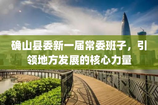 确山县委新一届常委班子，引领地方发展的核心力量
