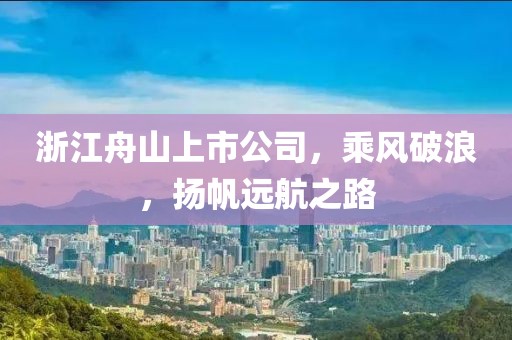 浙江舟山上市公司，乘风破浪，扬帆远航之路