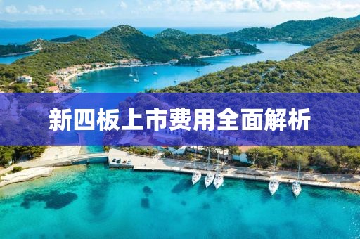 新四板上市费用全面解析