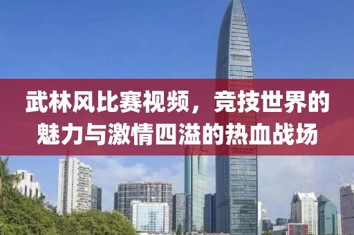 武林风比赛视频，竞技世界的魅力与激情四溢的热血战场