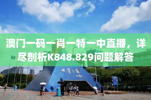 澳门一码一肖一特一中直播，详尽剖析K848.829问题解答