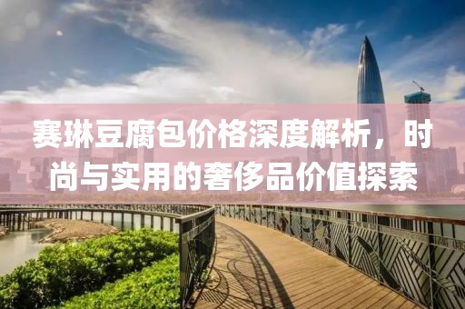 赛琳豆腐包价格深度解析，时尚与实用的奢侈品价值探索