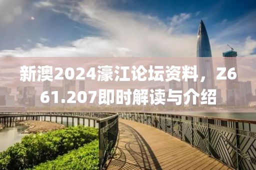 新澳2024濠江论坛资料，Z661.207即时解读与介绍