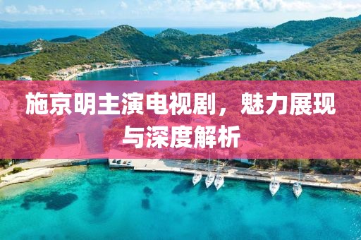 施京明主演电视剧，魅力展现与深度解析