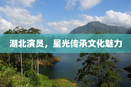 湖北演员，星光传承文化魅力