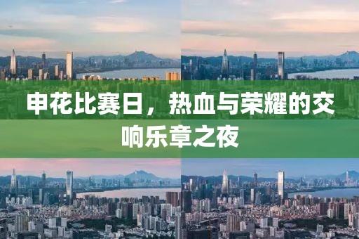 申花比赛日，热血与荣耀的交响乐章之夜