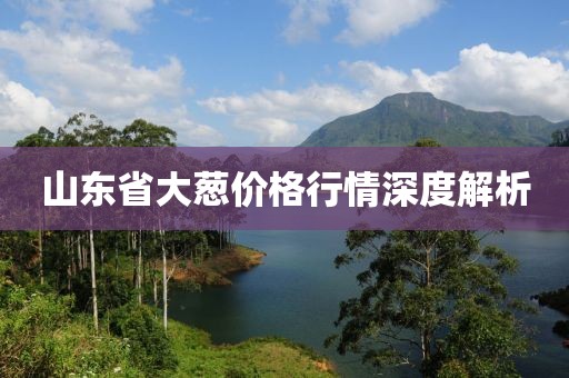 山东省大葱价格行情深度解析