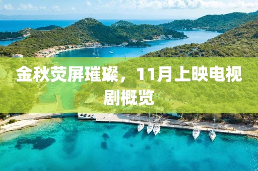 金秋荧屏璀璨，11月上映电视剧概览