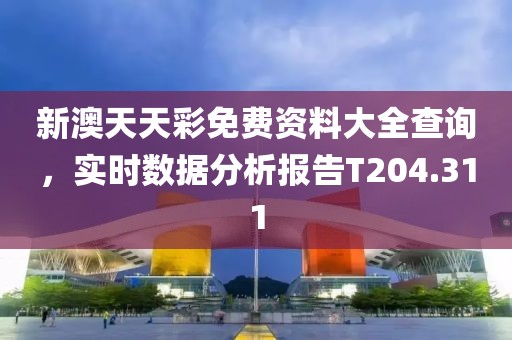 新澳天天彩免费资料大全查询，实时数据分析报告T204.311