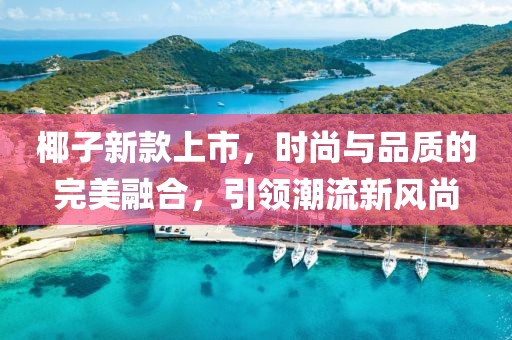 椰子新款上市，时尚与品质的完美融合，引领潮流新风尚