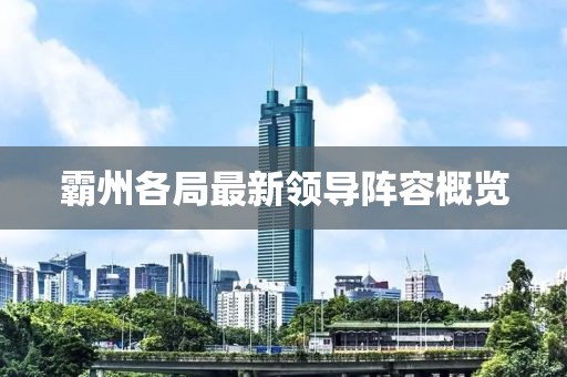 霸州各局最新领导阵容概览