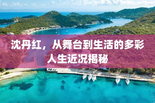 沈丹红，从舞台到生活的多彩人生近况揭秘