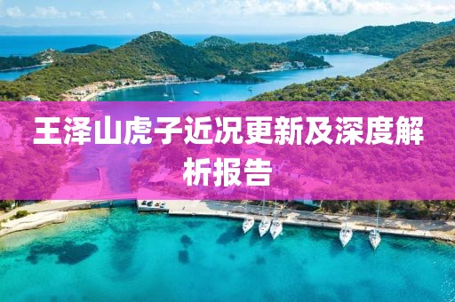 王泽山虎子近况更新及深度解析报告