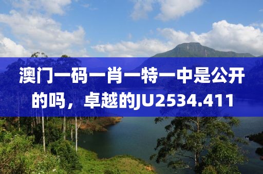 澳门一码一肖一特一中是公开的吗，卓越的JU2534.411