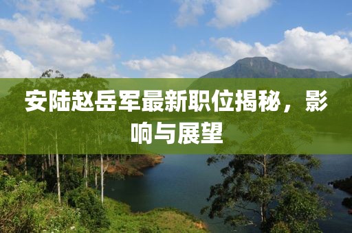 安陆赵岳军最新职位揭秘，影响与展望