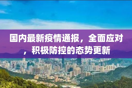 国内最新疫情通报，全面应对，积极防控的态势更新