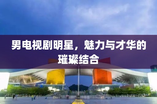 男电视剧明星，魅力与才华的璀璨结合