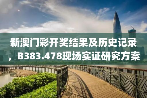 新澳门彩开奖结果及历史记录，B383.478现场实证研究方案