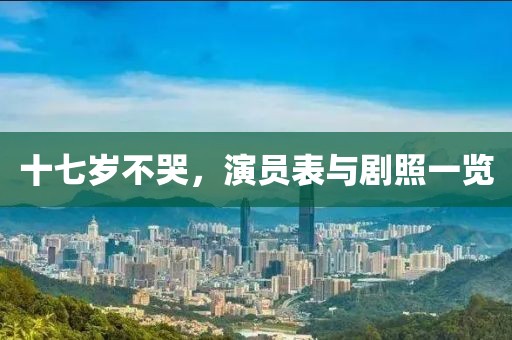 十七岁不哭，演员表与剧照一览