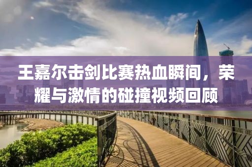 王嘉尔击剑比赛热血瞬间，荣耀与激情的碰撞视频回顾