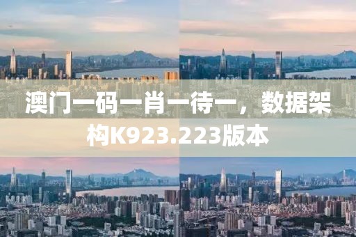 澳门一码一肖一待一，数据架构K923.223版本