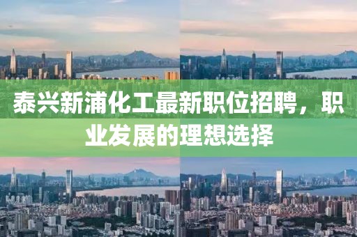 泰兴新浦化工最新职位招聘，职业发展的理想选择