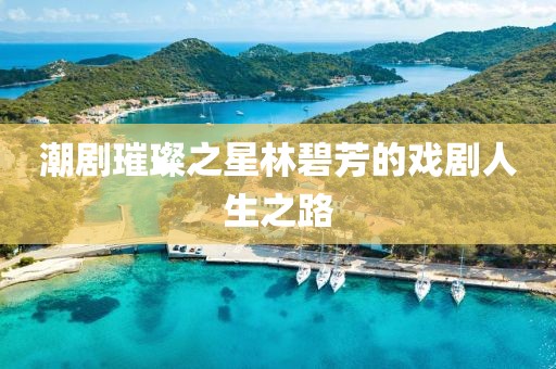 潮剧璀璨之星林碧芳的戏剧人生之路