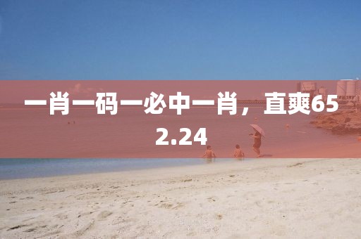 一肖一码一必中一肖，直爽652.24