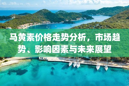 马黄素价格走势分析，市场趋势、影响因素与未来展望