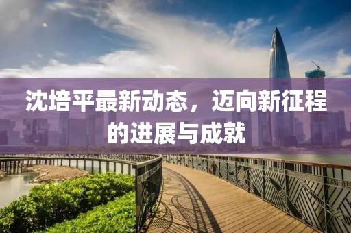 沈培平最新动态，迈向新征程的进展与成就
