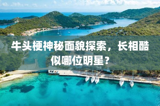 牛头梗神秘面貌探索，长相酷似哪位明星？