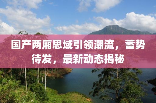 国产两厢思域引领潮流，蓄势待发，最新动态揭秘