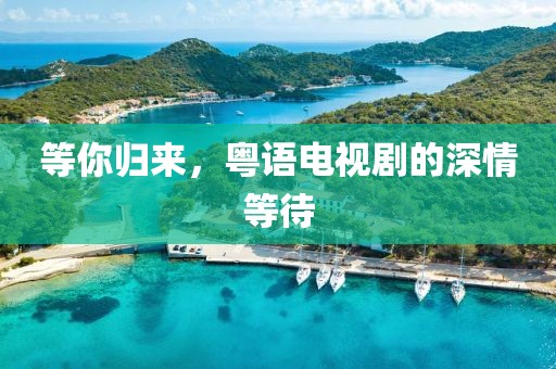 等你归来，粤语电视剧的深情等待