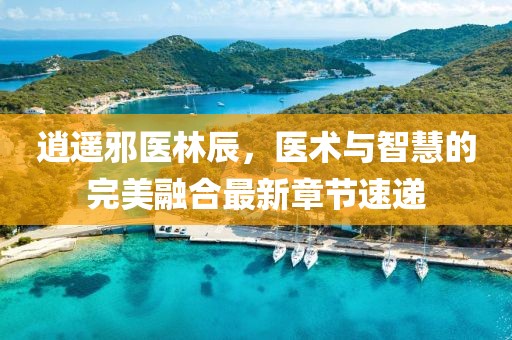 逍遥邪医林辰，医术与智慧的完美融合最新章节速递