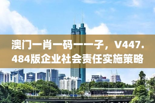 澳门一肖一码一一子，V447.484版企业社会责任实施策略