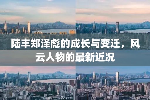 陆丰郑泽彪的成长与变迁，风云人物的最新近况