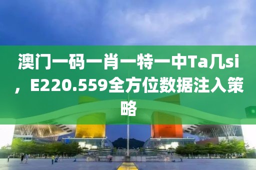 澳门一码一肖一特一中Ta几si，E220.559全方位数据注入策略
