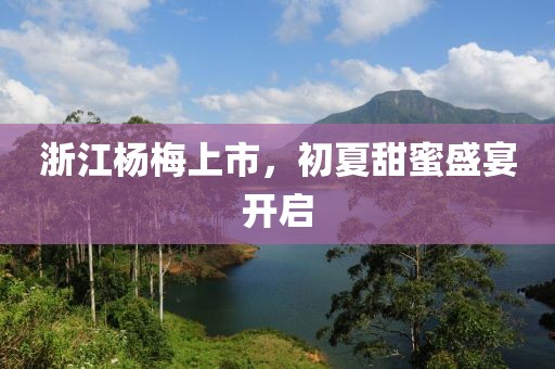浙江杨梅上市，初夏甜蜜盛宴开启