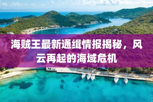 海贼王最新通缉情报揭秘，风云再起的海域危机