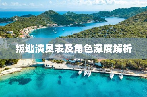叛逃演员表及角色深度解析