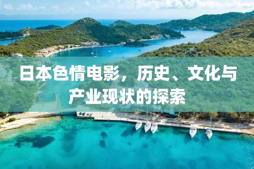 日本色情电影，历史、文化与产业现状的探索