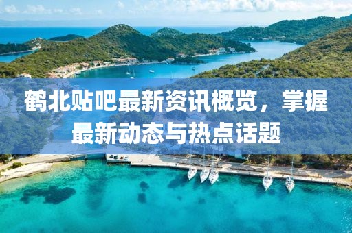 鹤北贴吧最新资讯概览，掌握最新动态与热点话题